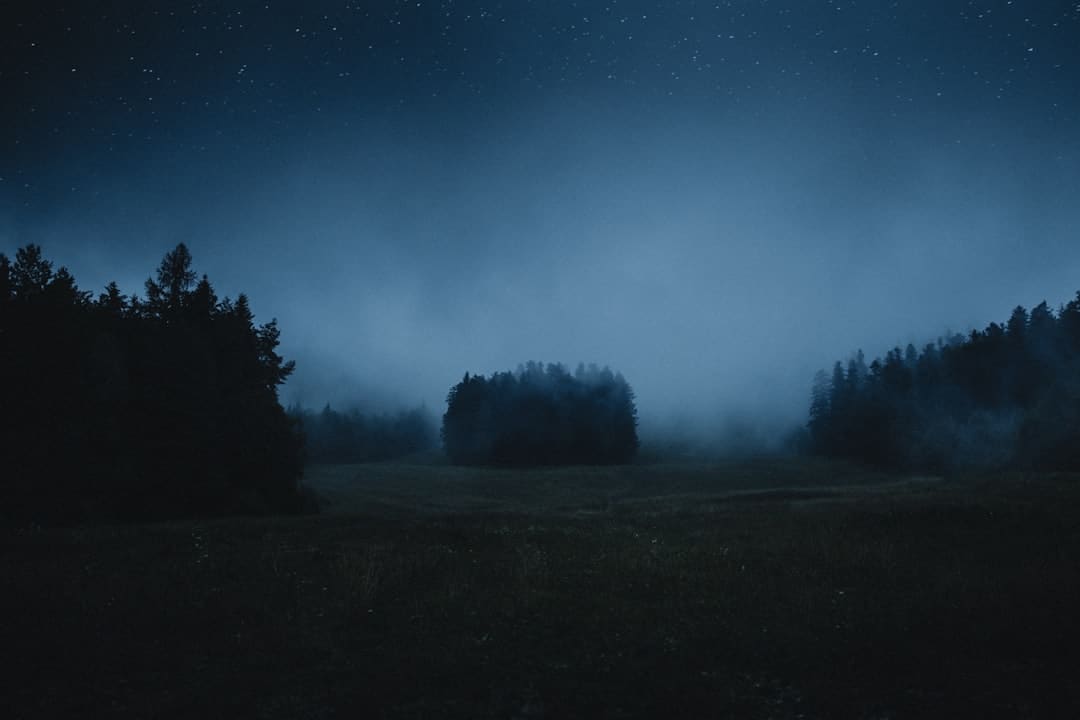 新桃农种出香甜水蜜桃（追梦路上）